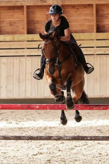Au galop ! une saison à cheval