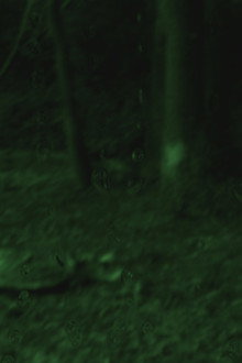 Horror Movie