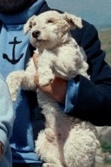 Milo