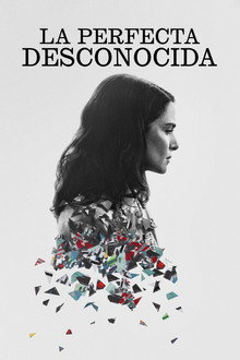 La perfecta desconocida