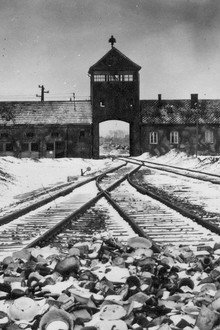 Ireland's Nazis