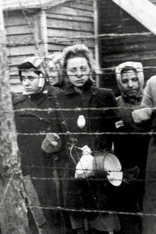 Ravensbrück, le camp oublié