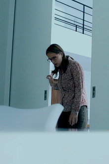 The Visitor
