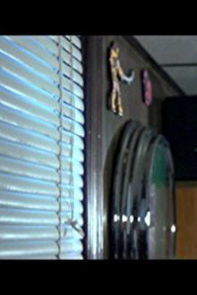 The Window