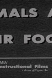 Animals and Their Foods