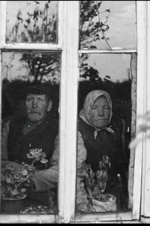 The Dreams of the Centenarians