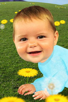 Baby Jake