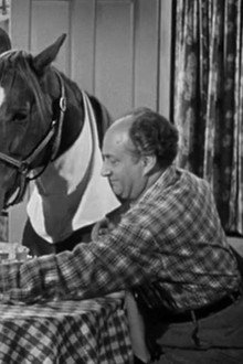 Horsing Around