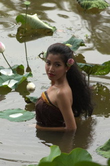 ដុំហ្វីលចុងក្រោយ