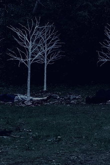 Queen of Hearts: A Twin Peaks Fan Film