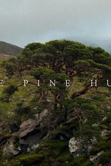 The Pine Hunters
