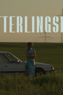 Schmetterlingskatze