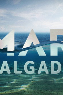 Mar Salgado