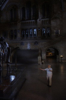 El museo de Historia Natural cobra vida con David Attenborough