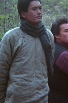 巡城馬