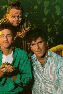 Frogs!