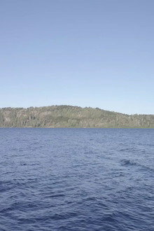 Huemul