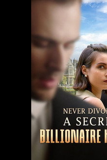 Never Divorce a Secret Billionaire Heiress
