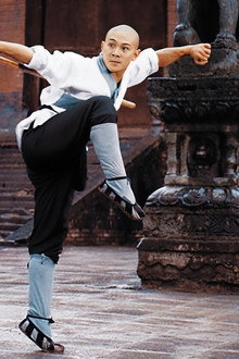 The Shaolin Temple