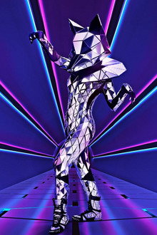 The Masked Singer