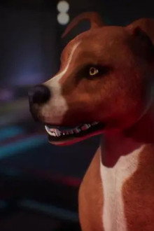 00K9: Operation Christmas