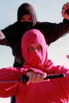 Diamond Ninja Force