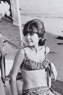 It's a Bikini World