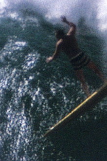 Water-Logged