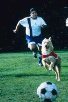 Soccer Dog: The Movie