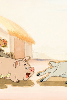 Farmyard Symphony