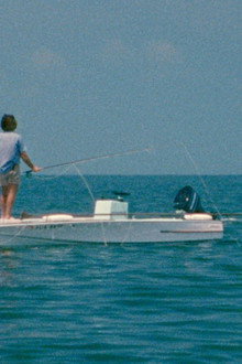 Tarpon