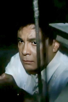 Batas Ng Lansangan