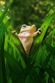Tiny World