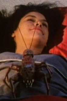 Bugged