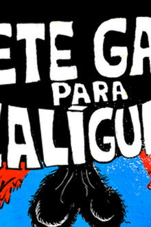 Sete Gatos Para Calígula