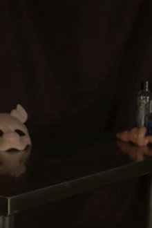 Piggy Palace