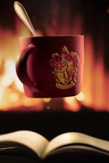 Harry Potter: Fireplace