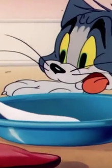 Невидимый мышонок