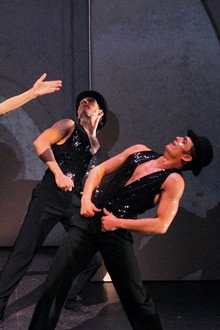 Follies