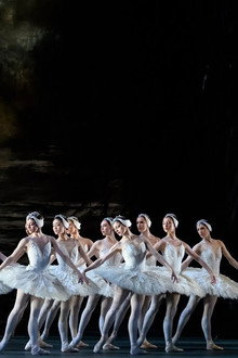 Tchaikovsky: Swan Lake