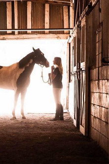 A Horse from Heaven