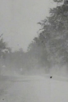 How It Feels to Be Run Over