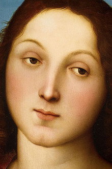 L'Accademia Carrara. Il museo riscoperto
