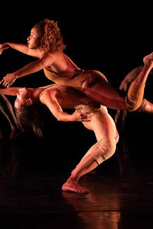 Pilobolus