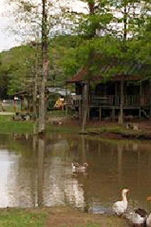 The Little Ponderosa Zoo