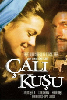 Çalıkuşu