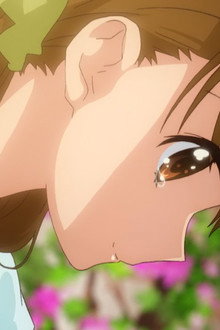 たまゆら~卒業写真~ 第2部 響-ひびき-