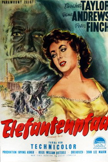 Elefantenpfad