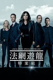 法律与秩序:特殊受害者