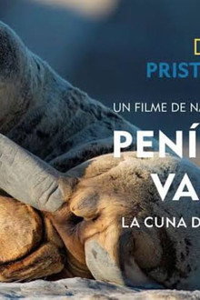 Península Valdés: La Cuna de la Patagonia